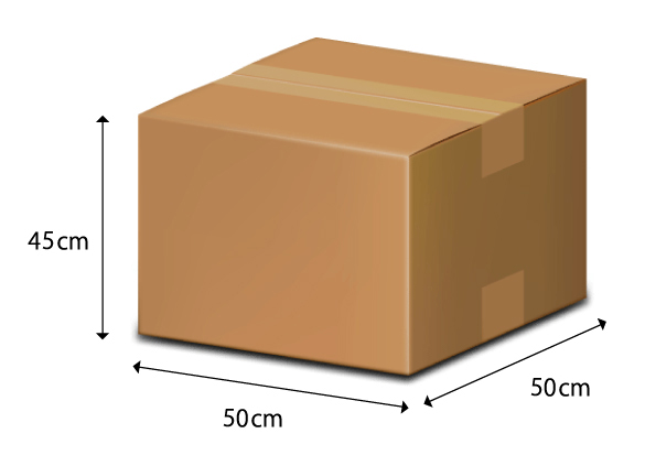 Case 2: Carton Box (Big Size) 