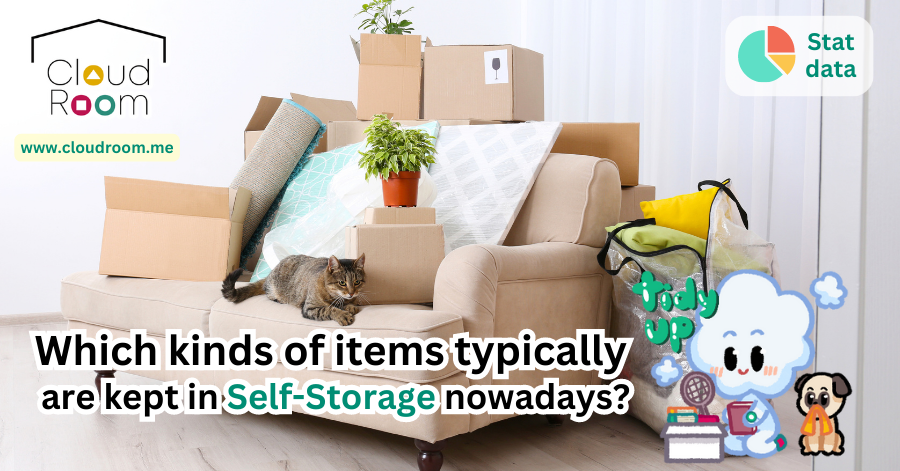 Which kinds of items typically are kept in Self-Storage nowadays? 📦