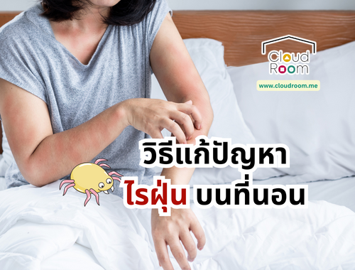 วิธีแก้ปัญหาไรฝุ่นบนที่นอน