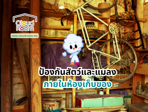 ป้องกันสัตว์และแมลงภายในห้องเก็บของ