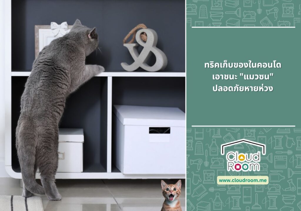 ทริคเก็บของในคอนโดเอาชนะ “แมวซน” 🐱 ปลอดภัยหายห่วง